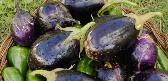 Spicy eggplant recipe from India