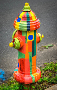 Adopt a Hydrant by JJ / Flickr Creative Commons