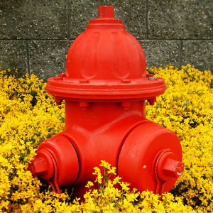 Red Hydrant by Ron A. Parker / Flickr Creative Commons