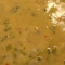 Cream of Broccoli Deluxe Soup