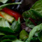Veggie platter