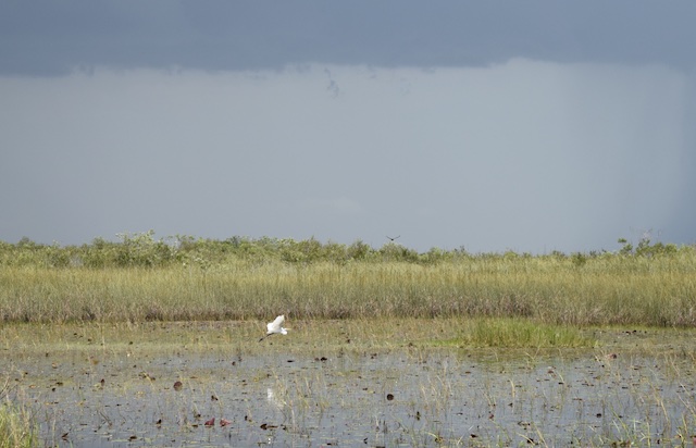 Everglades-MiccosukeeReservation 5