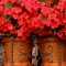 Small Spaces  Gardening Small for Big Results