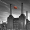 header_animals_pinkFloyd