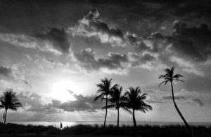 Only The Lonely by Andy Royston/FtLauderdaleSun