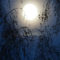 Blue Moon