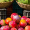 pesticides